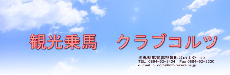 徳島県那賀郡那賀町谷内中分１０３ TEL  0884-62-3434   Fax 0884-62-3330 e-mail  c-colts@mb.pikara.ne.jp   